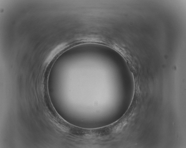 X0000062670199200512230955