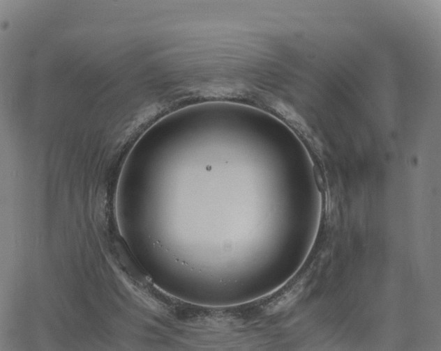 X0000062670201200512230955