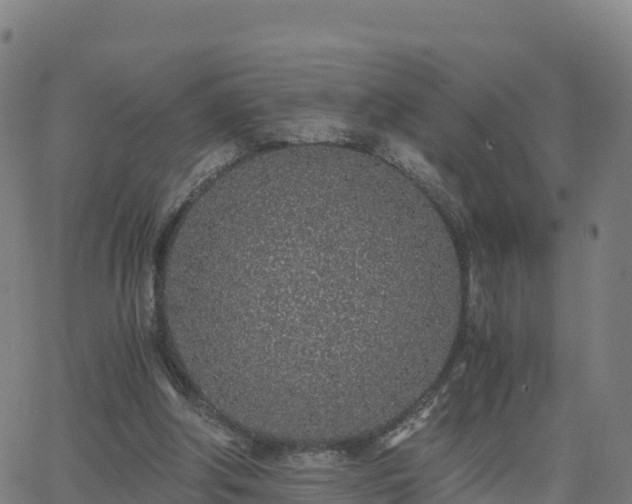 X0000062670202200512230955