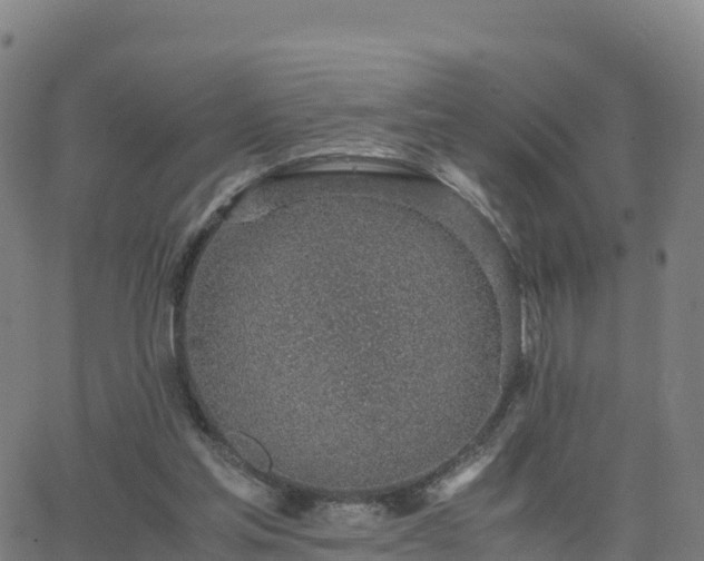 X0000062670205200512230955