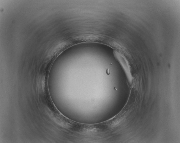 X0000062670206200512230955