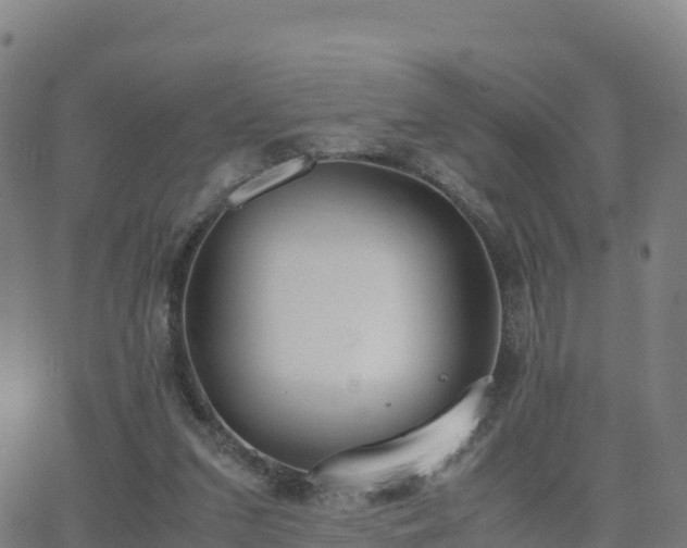 X0000062670207200512230955