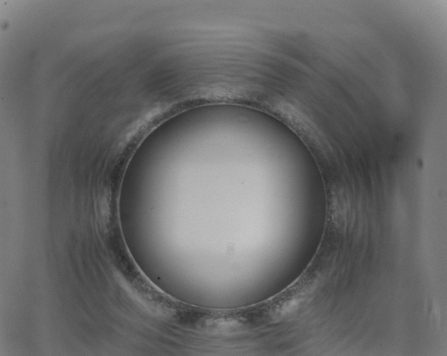 X0000062670208200512230955