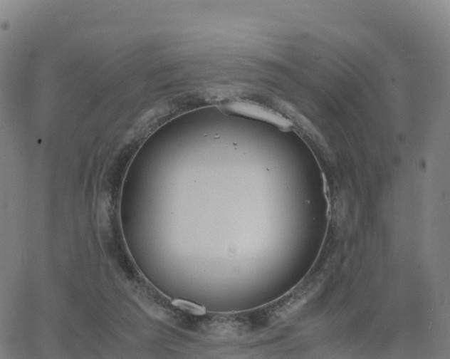 X0000062670209200512230955