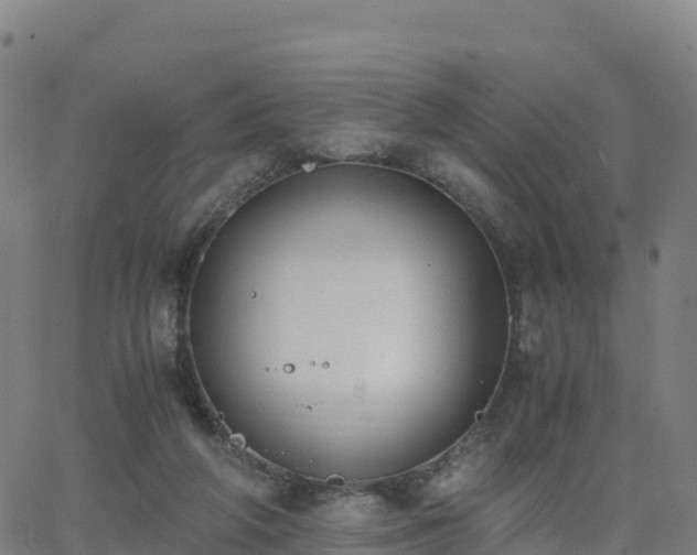 X0000062670210200512230955