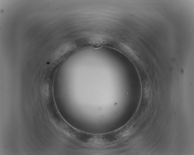 X0000062670211200512230955