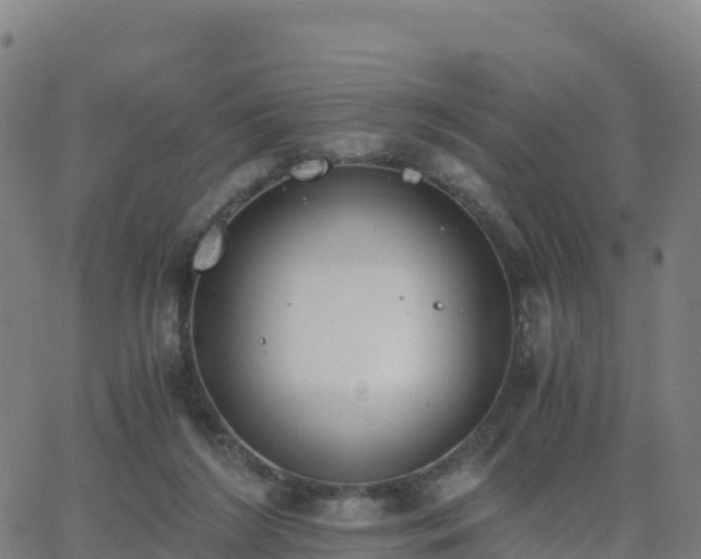 X0000062670212200512230955