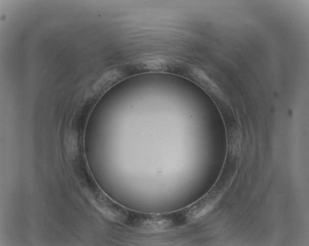 X0000062670213200512230955