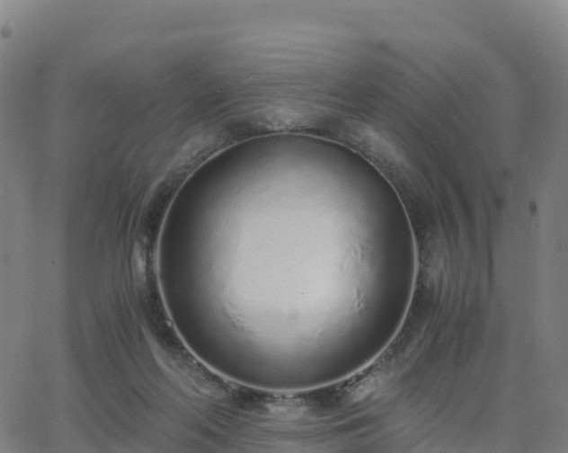 X0000062670214200512230955