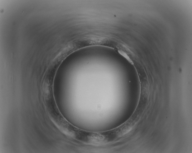 X0000062670215200512230955