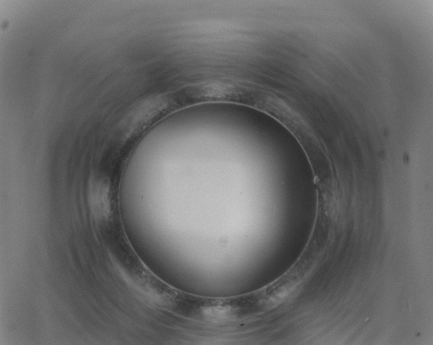 X0000062670216200512230955