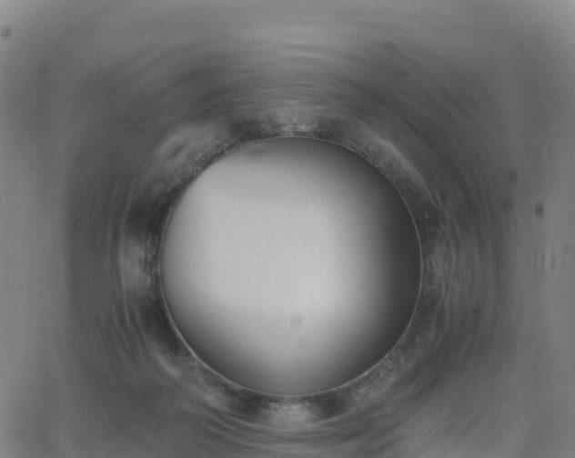 X0000062670218200512230955