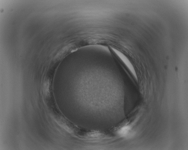 X0000062670219200512230955