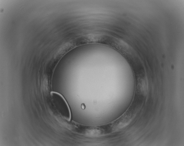 X0000062670220200512230955