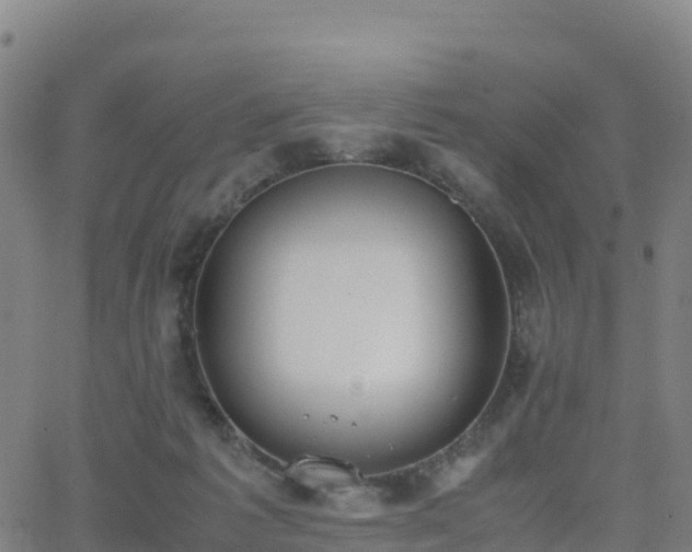 X0000062670221200512230955