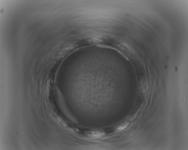 X0000062670223200512230955