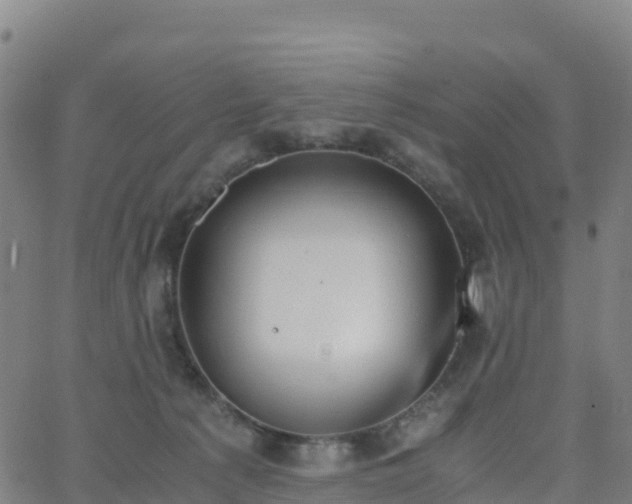 X0000062670225200512230955