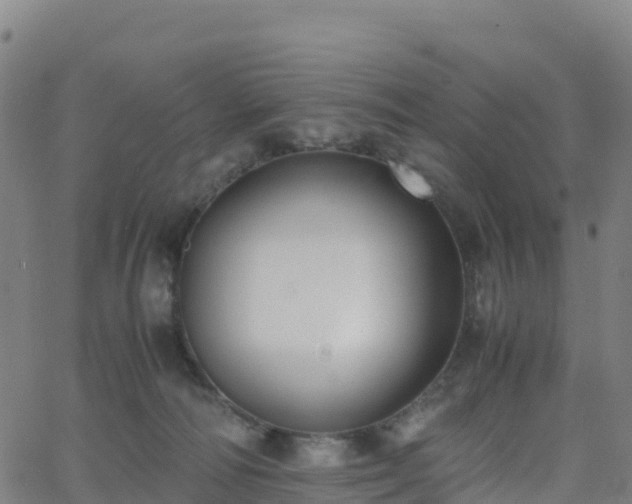 X0000062670226200512230955