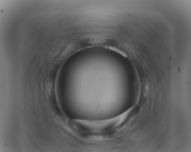 X0000062670227200512230955