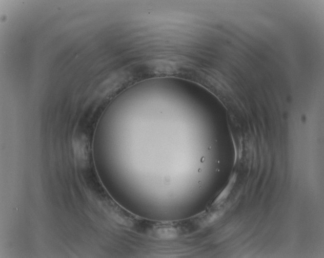 X0000062670228200512230955