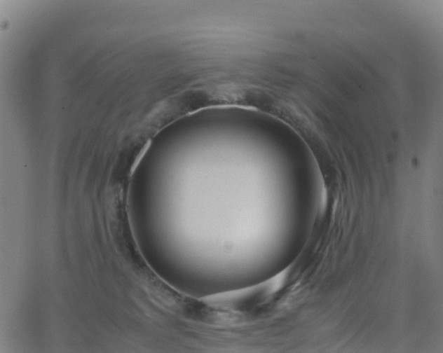 X0000062670229200512230955