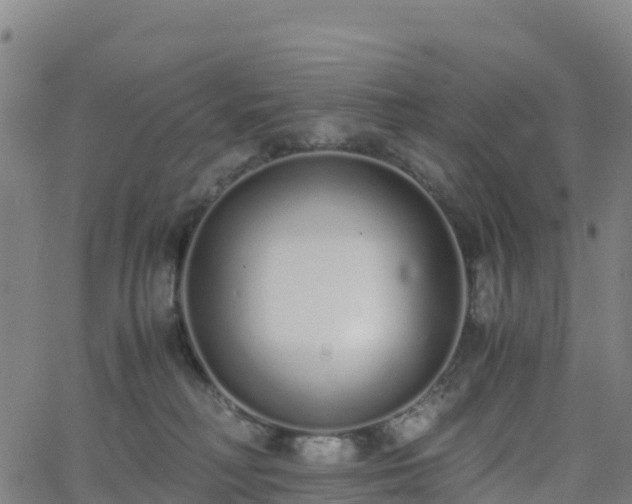 X0000062670230200512230955