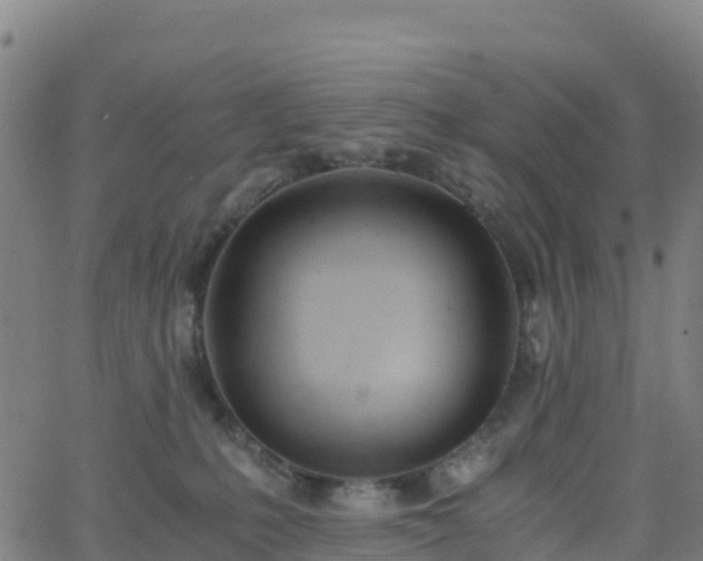 X0000062670231200512230955