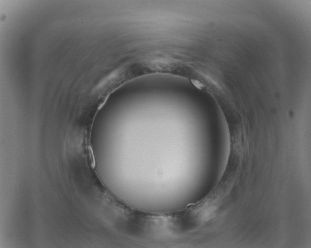 X0000062670233200512230955