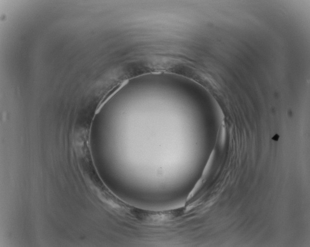 X0000062670237200512230954