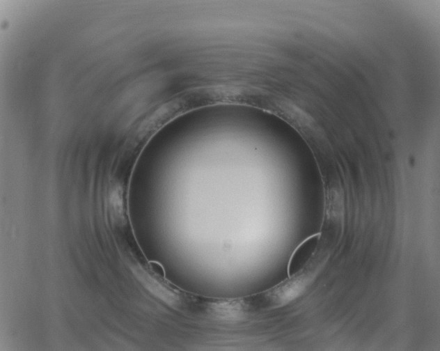 X0000062670238200512230954