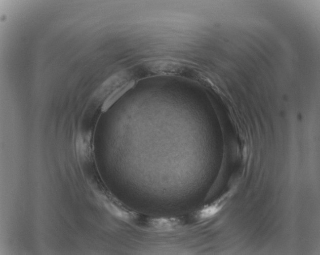 X0000062670239200512230954