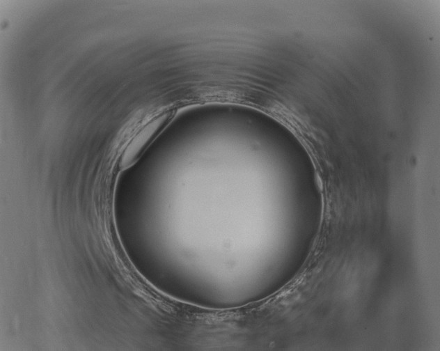 X0000062670241200512230954