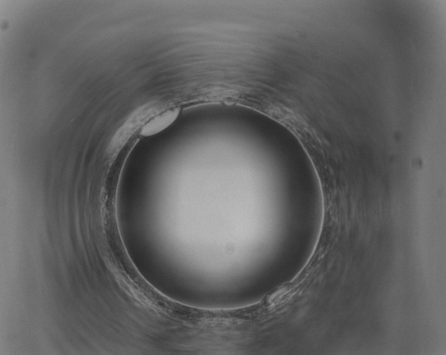 X0000062670242200512230954