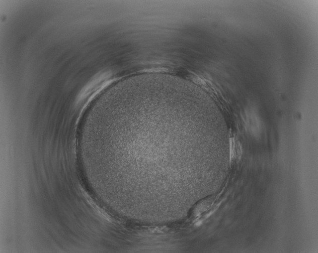 X0000062670243200512230954