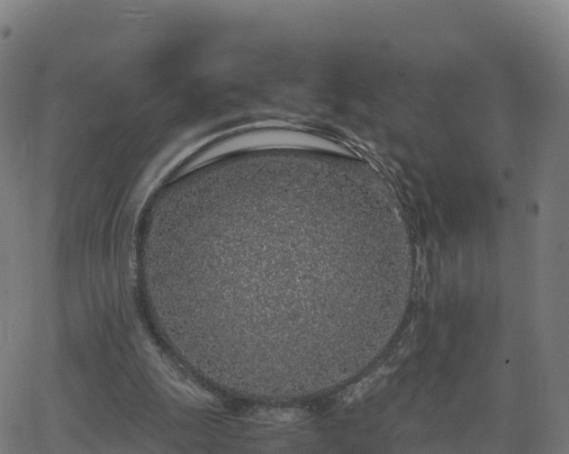 X0000062670247200512230954