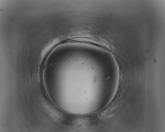 X0000062670248200512230954