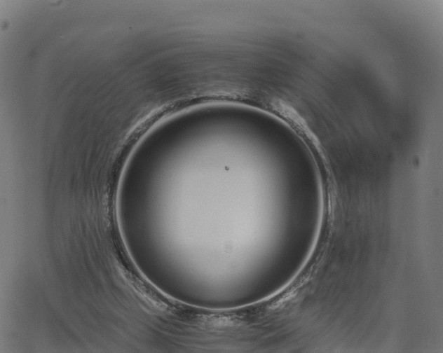 X0000062670249200512230954