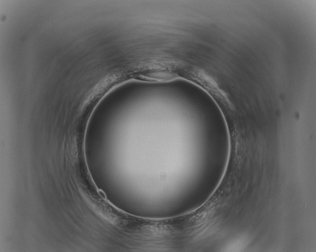 X0000062670250200512230954