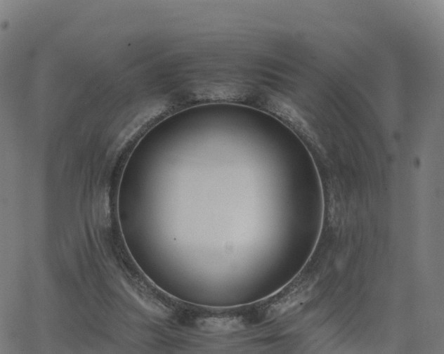 X0000062670251200512230954