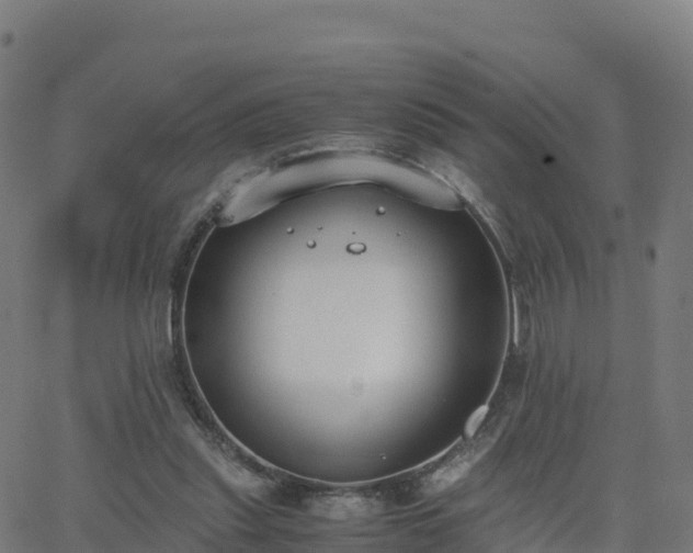 X0000062670253200512230954