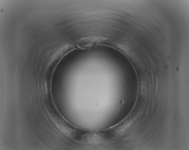 X0000062670254200512230954