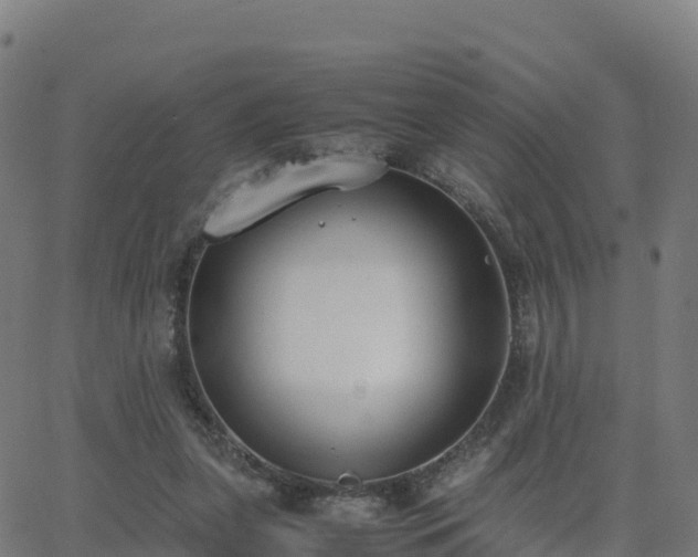 X0000062670255200512230954