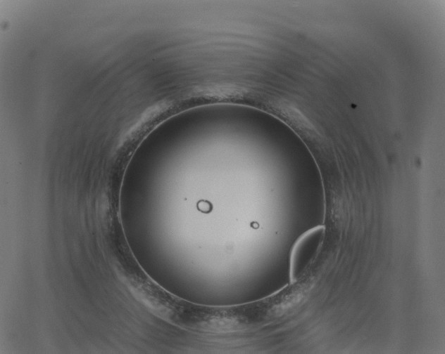 X0000062670256200512230954