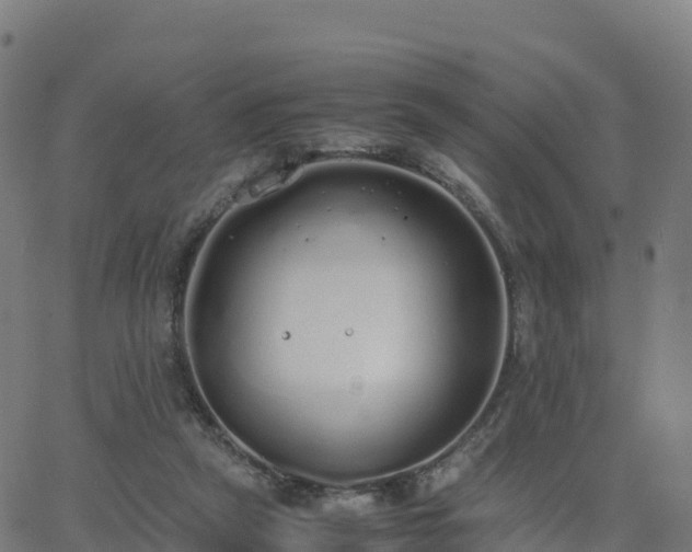 X0000062670257200512230954