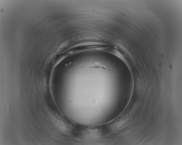 X0000062670260200512230954