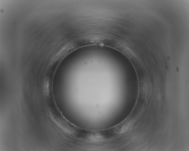 X0000062670262200512230954