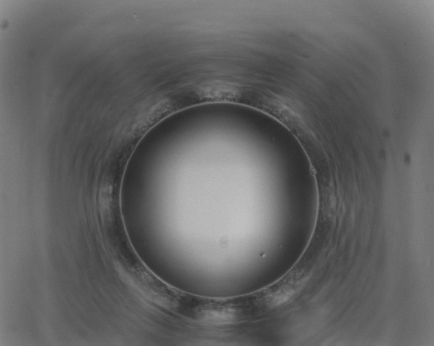 X0000062670263200512230954