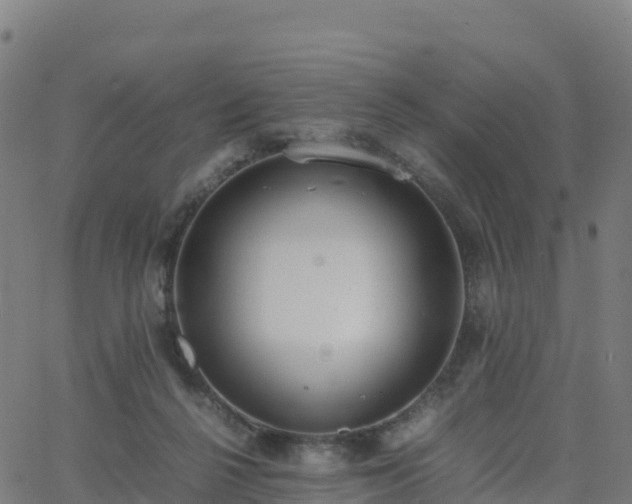 X0000062670264200512230954