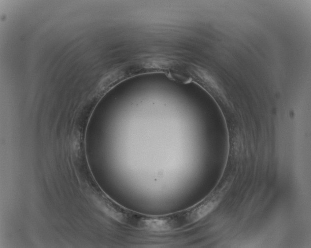 X0000062670265200512230954