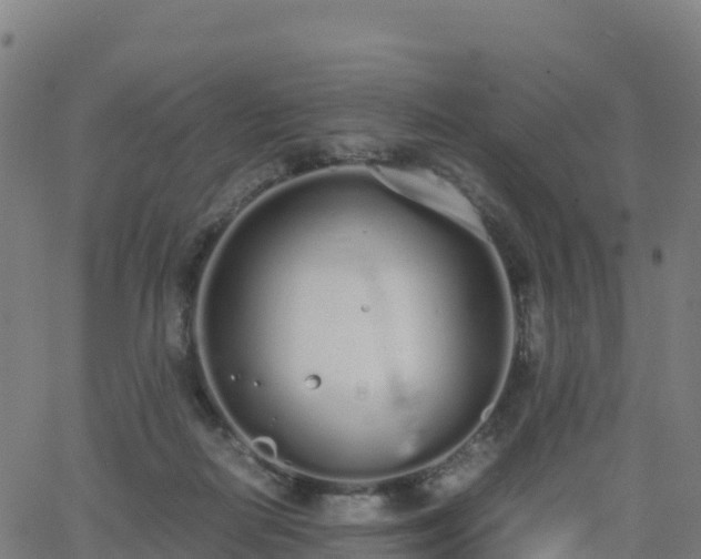 X0000062670266200512230954